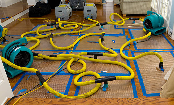 Professional Storm Water Damage Restoration technician working in Douglas, WY